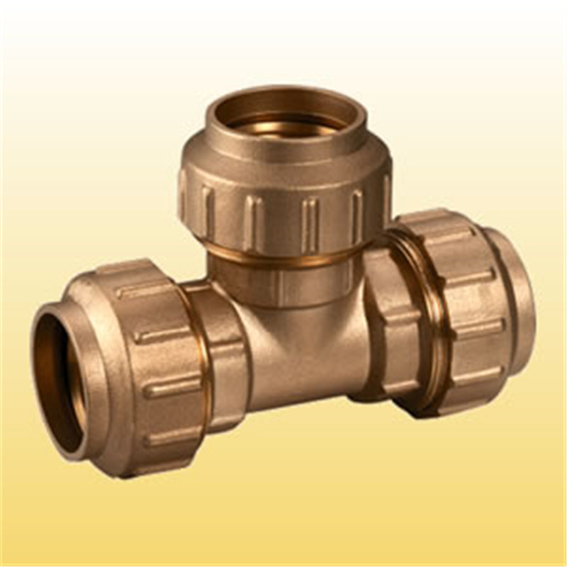 Brass PE Compression Fitting